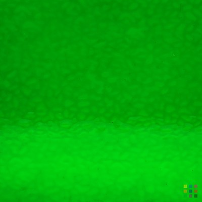 W English Muffle 343 medium green 27x27cm