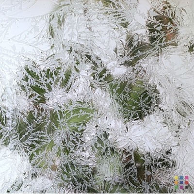 Escarchado incoloro 3mm 30x30cm