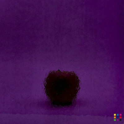 W Double Rolled 311-V violeta oscuro 27x27cm