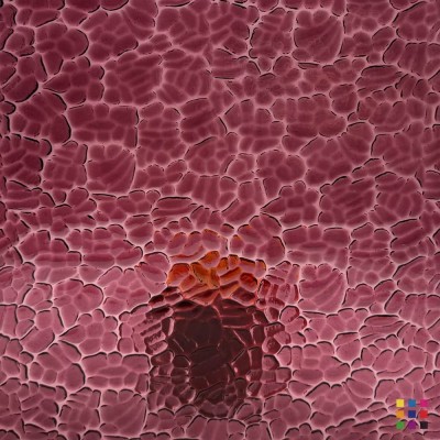 W Figure C 134 medium purple 27x27cm