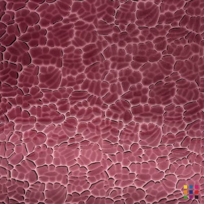 W Figure C 134 medium purple 27x27cm