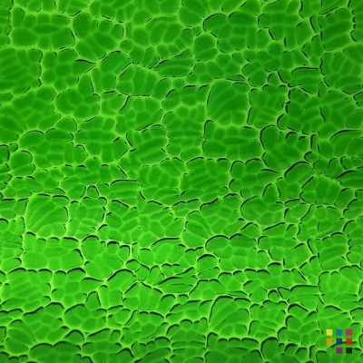 W Figure C 343 verde medio 82x107cm