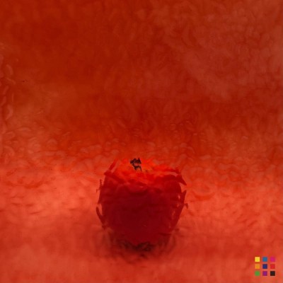 W English Muffle X-16 (4921) rojo cobre medio 82x107cm