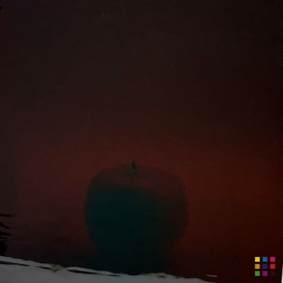 W Double Rolled 311-A marron foncé 82x107cm