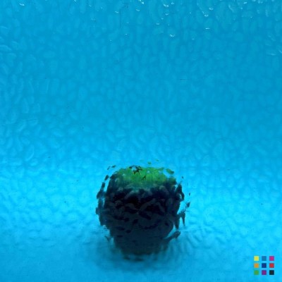 W English Muffle 190 bleu turquoise 27x27cm