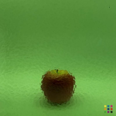 W Corella Classic 286 vert jaunâtre moyen 27x27cm