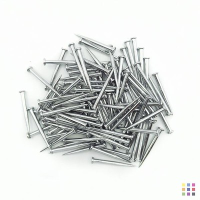 Clous de montage (100 un.)