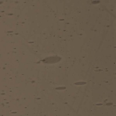 L Grey 4119F dark