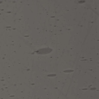 L Gris 2854xx clair L Gris 2854xx clair