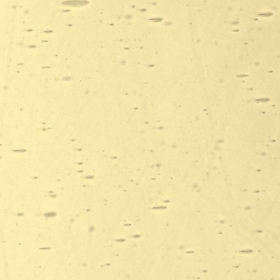 L Amber 43xx light