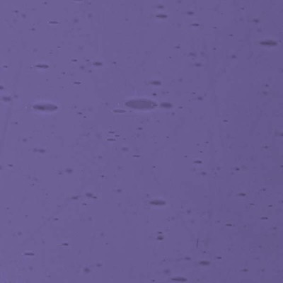 L Violet 2408xh medium