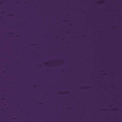 L Violet 2466F dark