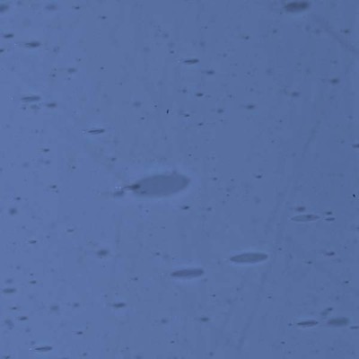 L Blue 926xh medium