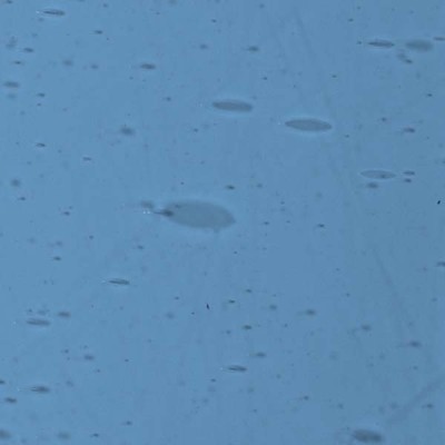 L Blue 1454xh medium