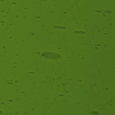 L Yellowish green 1190F dark