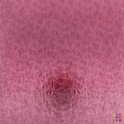W Florentine 134 pourpre moyen 82x107cm