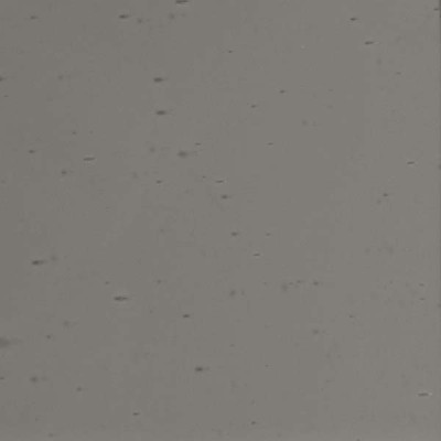 L Plaqué 3446U blanc opaque sur clair