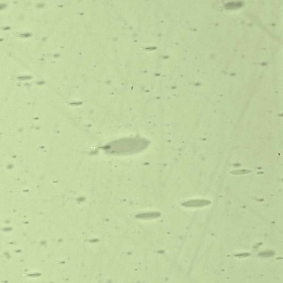 L Yellowish green 2158xx light