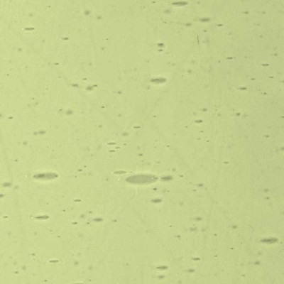 L Yellowish green 269xx light