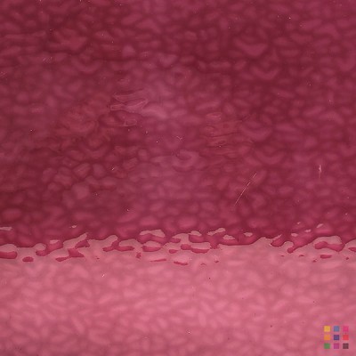 W English Muffle 241 (4924) pourpre foncé 82x107cm
