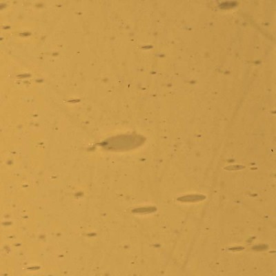 L Amarillo 1945xx claro