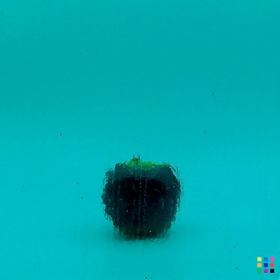 W Double Rolled 25 aqua blue-green 82x107cm
