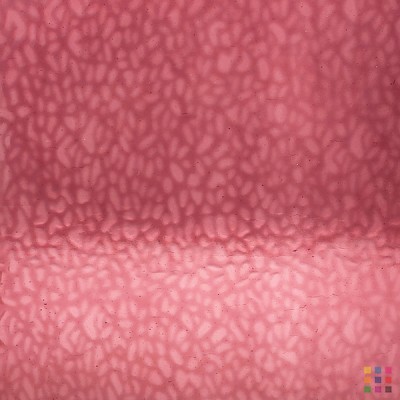 W English Muffle 50 (4902) dusky rose 82x107cm