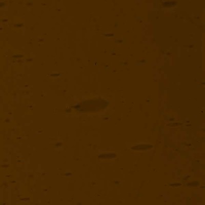 L Amarillo 3004F oscuro