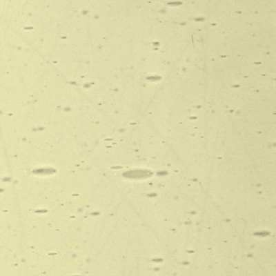L Yellowish green 200xx light