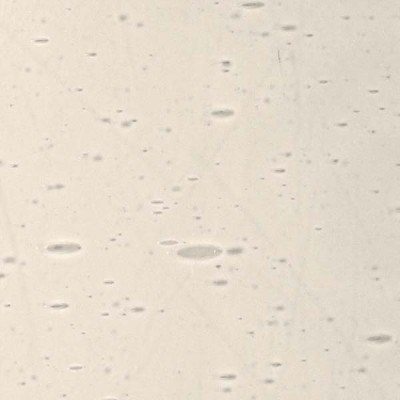 L Amarillo 3017xx claro