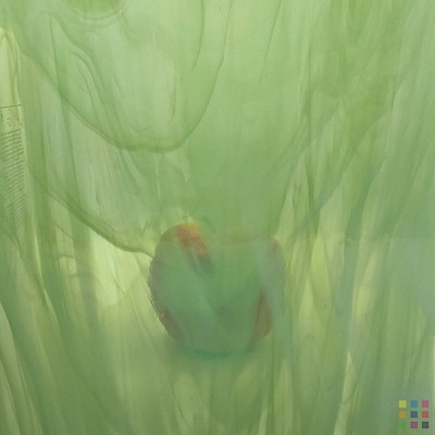 OS Wispy 329-1S-F vert pâle 20x30cm
