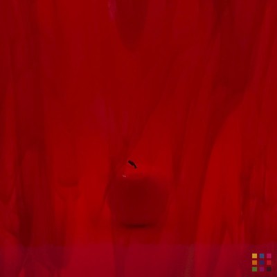 OS Wispy 359-1S-F red 20x30cm