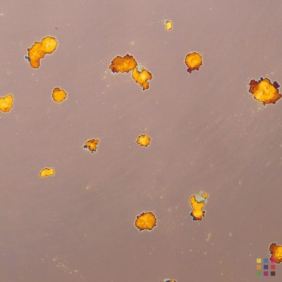 Miroir décoratif "Poussière d`étoiles" 3mm 30x31cm