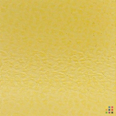 W Florentine 34 ambre clair 82x107cm