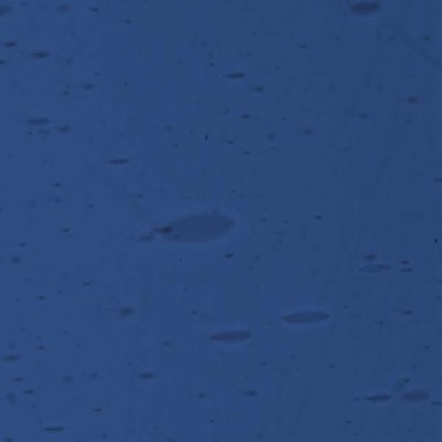 L Violet-blue 3286F dark