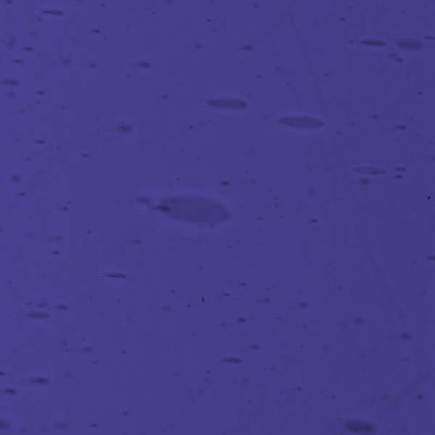 L Violet-blue 1302F dark
