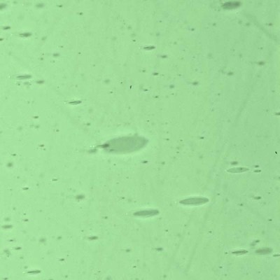 L Green 328xx light