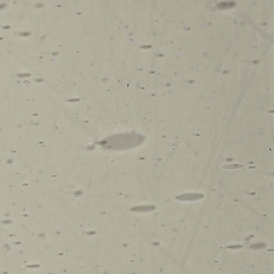 L Gris 1501xx clair