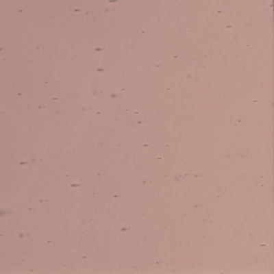 L Plaqué 4540U blanc translucide sur pourpre