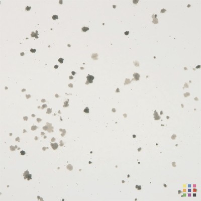 Miroir vieilli "Météorite" 4mm 125x245cm
