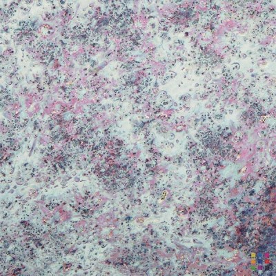Miroir vieilli "Iris" 4mm 125x245cm