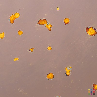 Miroir décoratif "Poussière d`étoiles" 4mm 125x245cm