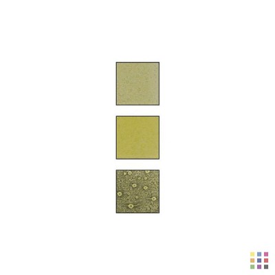 GB08 daffodil yellow Glassline bubble pen 56g