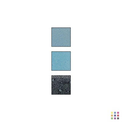 Crayon Glassline effet bulle GB11 bleu turquoise 56g