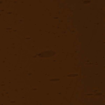 L Amarillo 899F oscuro