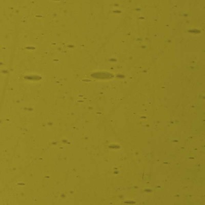 L Yellowish green 2721xh medium