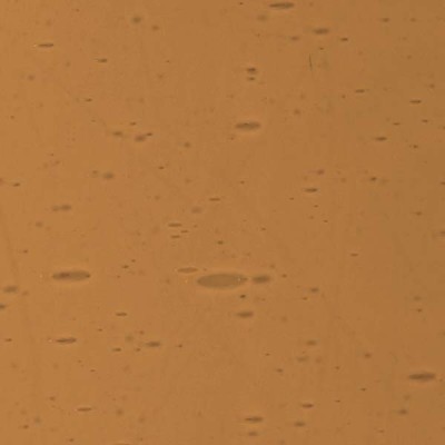 L Brown 3064xx light