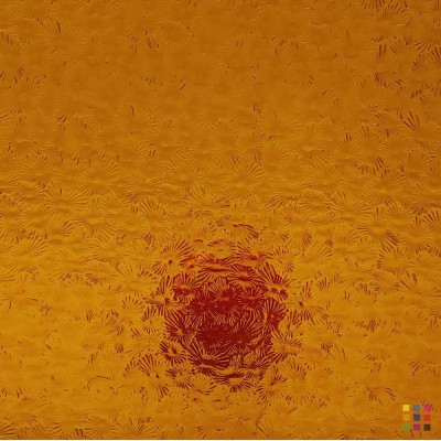 W Florentine 49 dark amber 82x107cm