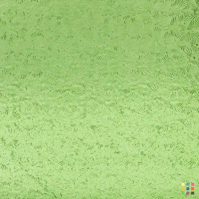 W Florentine 309 vert jaunâtre clair 82x107cm